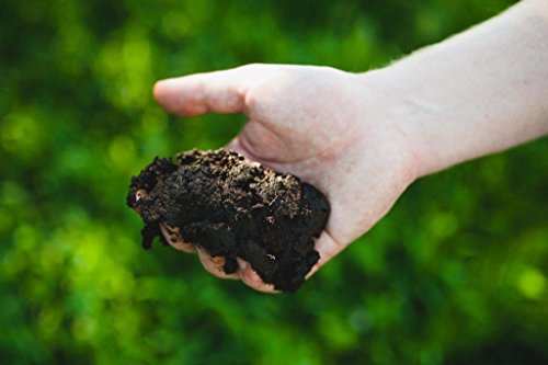 Schweriner Naturheil Moor Wärmekissen 28x38 cm mit Fleecebezug in Olivgrün, Wärmflasche, Heizkissen, Wärmekompresse