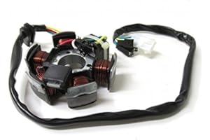 SP Lichtmaschine Zündung Stator passend für Aprilia SX RX, Derbi Senda R DRD, Gilera SMT RCR 50