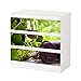 Produktbild Set Möbelaufkleber für Ikea Kommode MALM 3 Fächer/Schubladen Wein Glas Weißwein Flasche Garten Trauben Aufkleber Möbelfolie sticker (Ohne Möbel) Folie 25C586, Kommode 3 Fächer:Kommode 3 Fächer