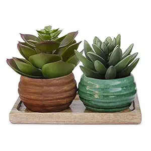 Lasaki Dholak with Wooden Stand Tray Plate Ceramic Pots for Indoor Plants,Planters,Flower pots,gamla,Outdoor,Succulent Pot Combo Pack(Color: Green Lt 406 and Antique, Plate: wrp1 Beach)