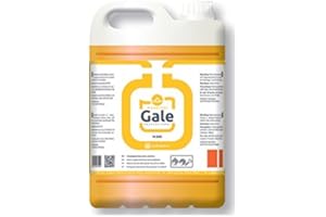 Induquim Limpiaplanchas Desengrasante Hosteleria Plus Rojo 5 litros