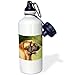 Price comparison product image Sports Water Bottle Gift, Leonberger Portrait White Stainless Steel Water Bottle for Women Men 21oz