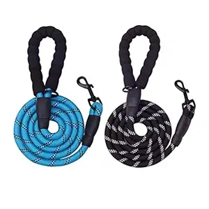 YOUSTYLO - YOU ARE PRIORITY Dog Leashes for Large and Medium Dogs, Highly Reflective Nylon Pet Leash with Foam Padded Handle and Sturdy Metal Hook, Ideal for Dog Training and Walking, 5 FT (Pack of 2)