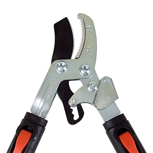 Teleskop Astschere Baumschere Amboss 72cm antihaftbeschichtet Gartenschere - 2