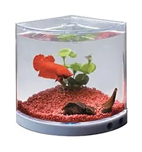 Dophin T-101 Mini Betta Tank