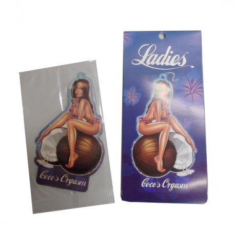 Preisvergleich Produktbild AMBIENTADOR PARA COCHE