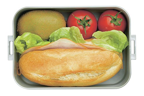 Rosti Mepal Lunchbox – TAB midi – orange - 19