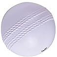 Gmefvr Soft Cricket Balls Practice Training for All Age Group Recommended for Indoor/Outdoor Street & Beach Crickets
