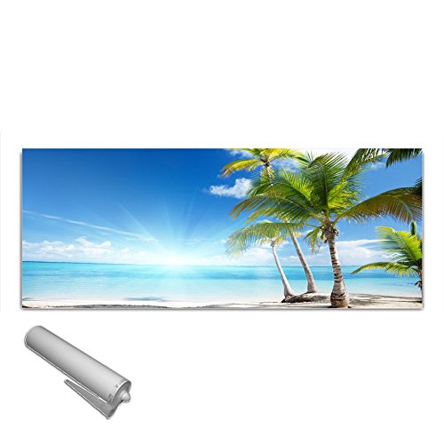 Küchenrückwand von DekoGlas aus gehärtetem vorgespanntem Glas 125x50cm Echtglas Float Sicherheitsglas ESG kein Acrylglas Spritzschutz Fliesenspiegel Nischenwand Palmen Meer