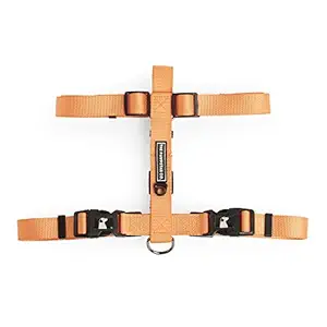 The Pawpstar Co Dog Harness by Aditya Birla New Age / Dog Walking Nylon Harnsss (Medium, Tangerine Orange)