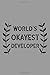 Produktbild World's Okayest Developer: Notebook, Journal or Planner | Size 6 x 9 | 110 Lined Pages | Office Equipment | Great Gift idea for Christmas or Birthday for a Developer