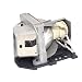 Produktbild Ersatzlampe für Optoma DS316, DS316L, DW318, DX319, DX319p, ES526, EW536, EX531, EX531p, EX536, HD600X, HD600X-LV, HD67, HD67N - kompatibles Uhr Modul (ersetzt: SP.8EH01GC01)