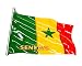 Produktbild zamonji Senegal Flagge Länder Fahne Magnete 3D Harz Kühlschrank Kühlschrankmagnet Reise Aufkleber Tourist Geschenk Home & Küche Dekoration