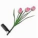 Rrimin Tulip Flower Solar Power 3 LED Light Garden Yard Way Lamp Outdoor Landscape RS.999.00