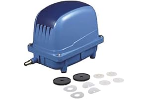 AQUA FORTE AquaForte AP-45 Luftpumpenset, Luftpumpe inklusive Ersatzmembranen, 25 Watt, Kap. Bei 2 Meter 24 Liter pro Minute, Max. Förderhöhe 3 Meter, 2,9 kg, Ausgang 16,5 Millimeter