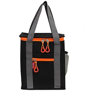 SFANE Mens and Womens Polyester Insulated Bag Office Lunch/Tiffin Bag (Black)