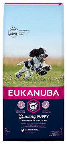 Eukanuba Puppy Nourriture pour Chiot de Taille Moyenne - Doublure sèche équilibrée avec Nouvelle Formule pour Chiots de 1 à 12 Mois dans Le Sens du goût.