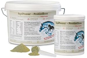 EquiPower Probiotikum 2000g