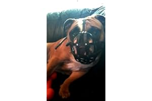 L&J PETS UK Maulkorb aus leichtem Leder für Englische Bulldoggen und andere kurzschnauzige Rassen