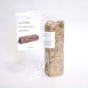 GebEarth® Sfagno Cileno In Fibre Lunghe 50g - Substrato Per Orchidee, Bonsai, Carnivore, Kokedama - 2
