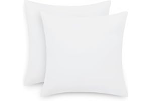 Aisbo Taie Oreiller 65x65 Blanc - Taie d'Oreillers Lot de 2 Carré en Microfibre Brossée sans Oreiller, Housse Oreiller Coussin Oreiller avec Fermeture Éclair