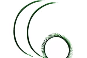 GREGORY CRAFTS & GIFTS Dark Green Biot Feathers x 3 - Millinery hat, fascinator, wedding decoration - long feathers