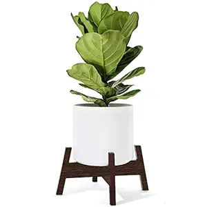 Vyani Wooden Plant Stand - Mid Century Flower Pot Holder Display Potted Rack Home Decor Up to 12 Inch (Planter Not Included), Wenge