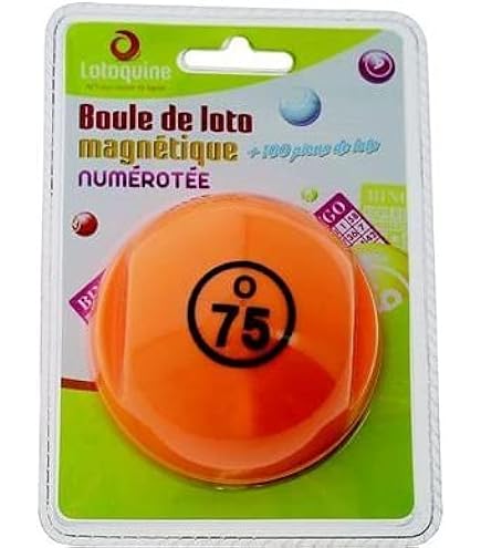 Grande boîte magnétique avec 100 pions de loto, jetons loto magnetique avec boit Grande boîte magnétique avec 100 pions de loto, jetons loto magnetique avec boit