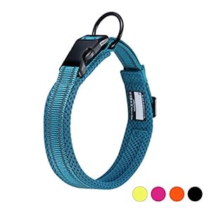 Collar para Perros Pequeños Grandes Medianos Reflectante Suave Acolchado Impermeable Ajustable Transpirable con Etiqueta de Nombre para Caminar Correr Trekking Entrenamiento (Negro, XS)
