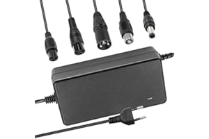 UURRPP 29.4v 2a Li-ION Chargeur de Batterie Multi-Plug Compatible avec Dream I-100 All-Star Super Ranger, Astro Turbo sypher Adaptateur Secteur powerfast 24V 7s