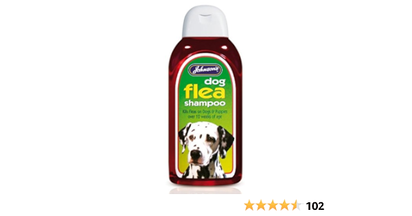 amazon dog flea