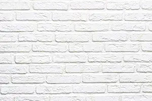 Canvas Art Flatlay Tabletop Printed Texture Coloured Backdrop for Flat Lay, Food, Small Product, Cosmetics, Jewellery Photography(3x2 ft)(White Brick Design)