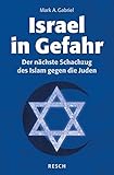 Image de Israel in Gefahr: Der nächste Schachzug des Islam gegen die Juden (Politik, Recht, Wirtschaft und G