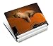 Produktbild Luxburg® Design Aufkleber Schutzfolie Skin Sticker für Notebook Laptop 12 / 13 / 14 / 15 Zoll, Motiv: Katze auf Gitarre