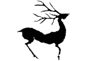 ACMEDE Frachtkosten für die zweite Lieferung