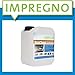 Produktbild PROCaso® Professionell Sanitärreiniger Konzentrat 5 Liter Kanister ultrastark und kraftvoll