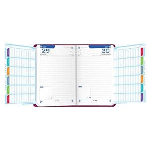 Oxford Touch Agenda Scolaire Journalier 2018-2019 1 jour par page 352 pages 15 x 21 cm Violine