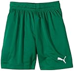Puma Jungen Fußballshorts Velize