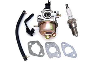 SALLYGARDENS Vergaser mit Zündkerze Satz für Einhell RT-PG 2500, TC-PG 2500, BT-PG 2800, PG3000, STE 2500/1, KC 35 AE, KCST 2502 Stromerzeuger