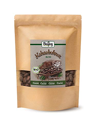 Biojoy Fèves de Cacao BIO cru - Theobroma cacao (1 kg)