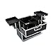 Extra Large Space Storage Beauty Box Make up Nail Jewelry Cosmetic Vanity Case (Silver)