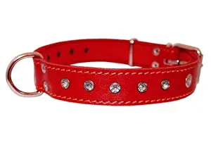 Dogs My Love Genuine Red Leather Rhinestone Dog Collar 1.25