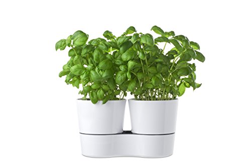 Rosti Mepal Twin-Hydrotopf für Kräuter, Melamin, 27,3 x 13,7 x 22 cm, weiß, 27.3 x 13.7 x 22 cm - 2