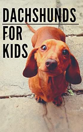 dachshund and kids