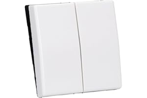 JUNG AS591 5WW Wippe für Serienschalter