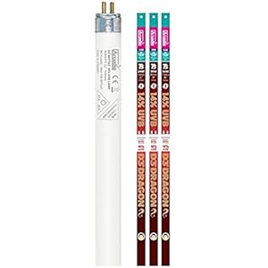 Ardacia FD3D54T5 D3 + Dragon Lampe Lamp 0.14 T5, 54 watt