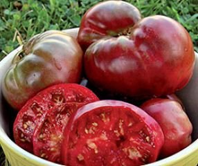 Bobby-Seeds Tomatensamen Black Krim Portion