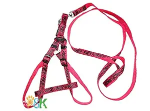 PSK PET MARTPrinted Nylon Dog Harness & Leash Set with Fur 0.75 inch Small - ( Chest Size - 19 - 24 ) (RED)