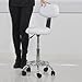 Low Back Swivel Salon Stool - White
