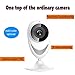 Produktbild IP Cam Hd / IP Kamera Email Alarm & Sicherheitskamera für Innen, Wifi Kamera Anhänger Dome Kamera PTZ - Unterstützung Video Play Screenshot - Unterstützung 128GB TF (Micro SD) Karte